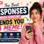 best responses when someone sends you a meme