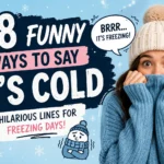 funny ways to say its cold